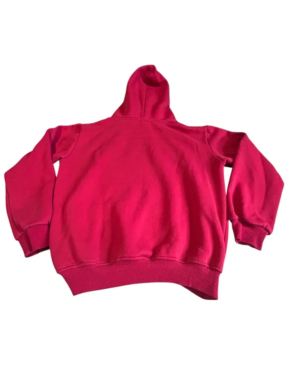 Vintage Champion Spellout Hoodie Red Distressed Y2K Large
